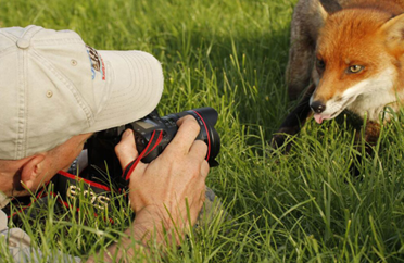 Pet Photography